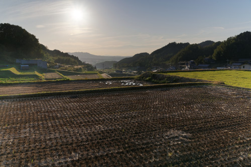 e0366896_17454317.jpg