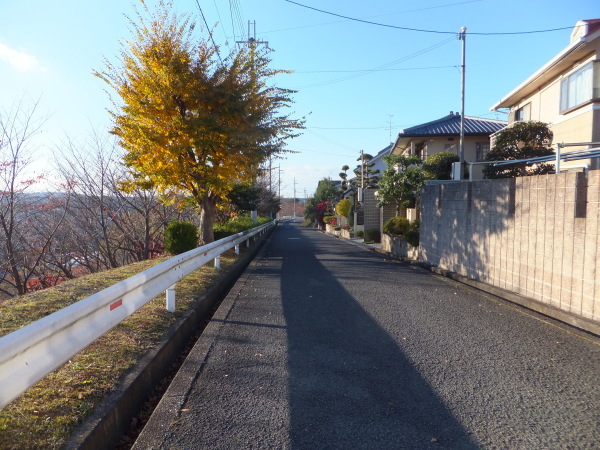 歩こう　橋を見に行こう　（37）　河内長野千早城跡線1号無名橋_b0212898_17423892.jpg