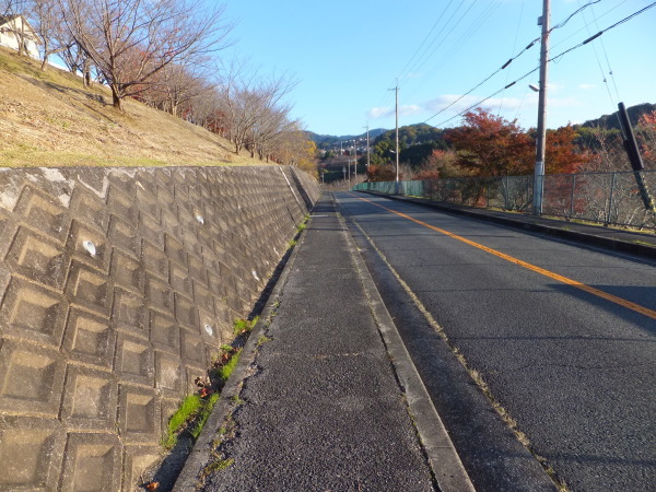 歩こう　橋を見に行こう　（37）　河内長野千早城跡線1号無名橋_b0212898_17443448.jpg