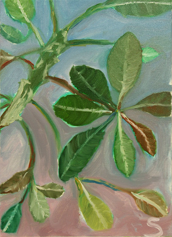 油絵「植物」 : 造形ジュニアこども絵画教室ブログ