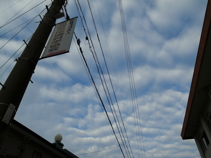 c0049299_22382611.jpg