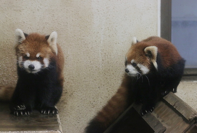 a0306502_21433826.jpg