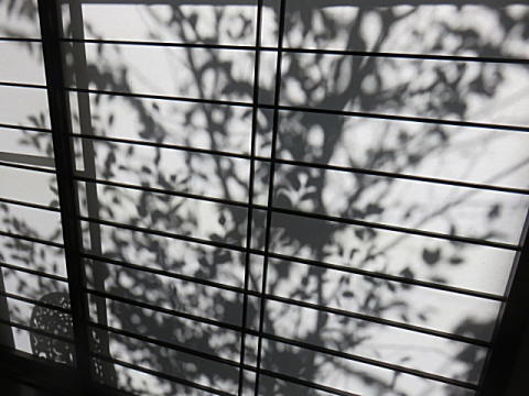 d0046702_00203779.jpg
