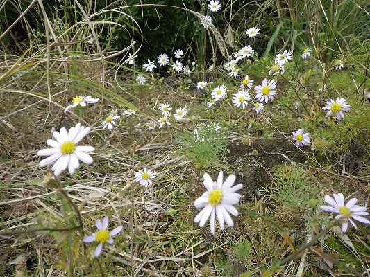 f0187402_09194125.jpg