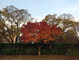 b0168303_22424675.jpg