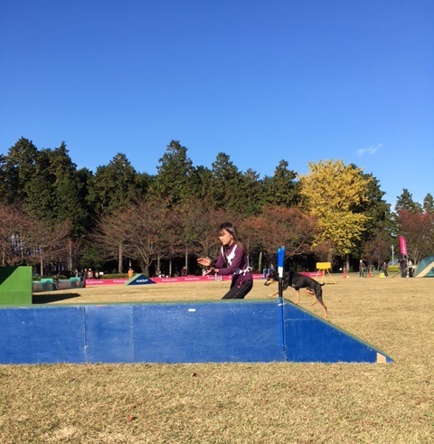 a0071805_14402433.jpg