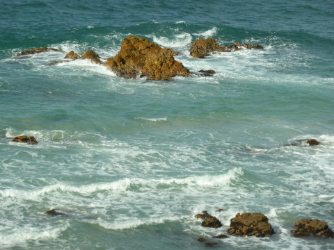 a0139908_11085722.jpg