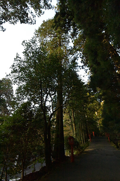 a0278809_12592337.jpg