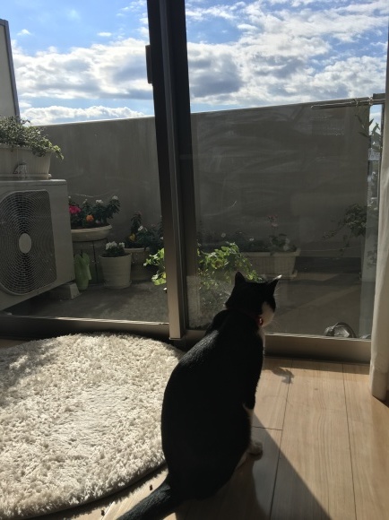 c0109109_01082101.jpeg