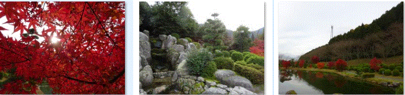f0231709_03165568.gif