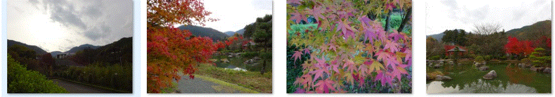 f0231709_03171291.gif