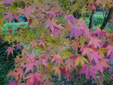 f0231709_03224537.jpg