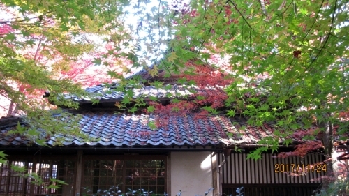e0273811_17564380.jpg