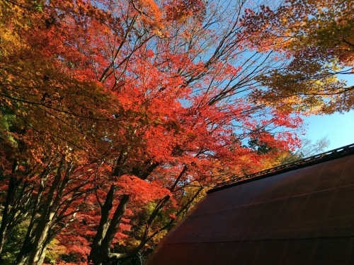 e0273811_18012121.jpg