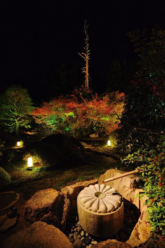 f0032011_21155425.jpg