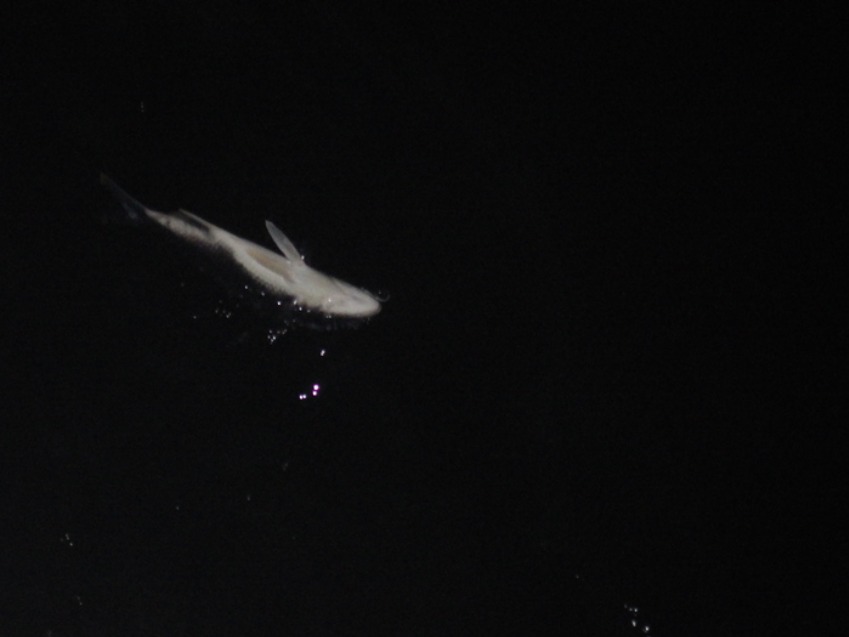 c0022113_11395042.jpg