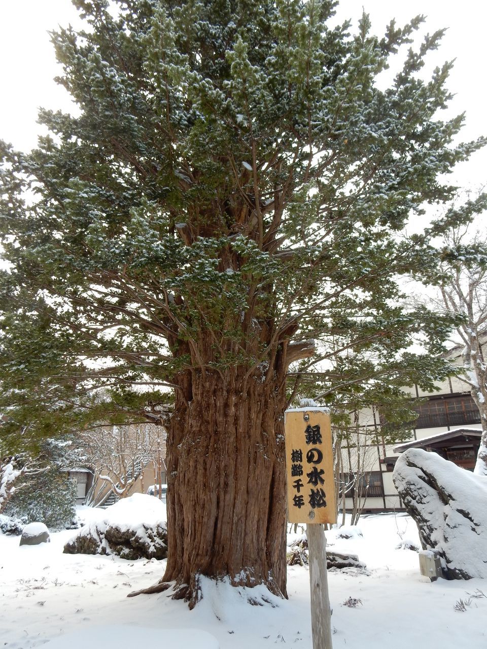 たまには温泉に_c0025115_21414598.jpg