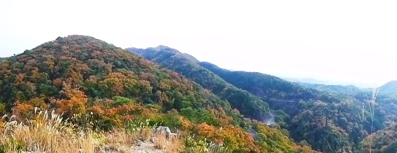 今日のお気に入り写真　明王山 (380M) 紅葉狩り_d0170615_19420108.jpg