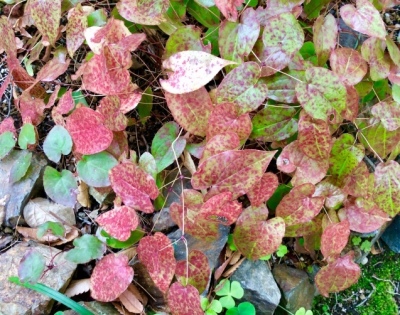 b0344816_23120504.jpeg