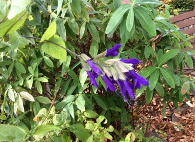b0344816_23125215.jpeg
