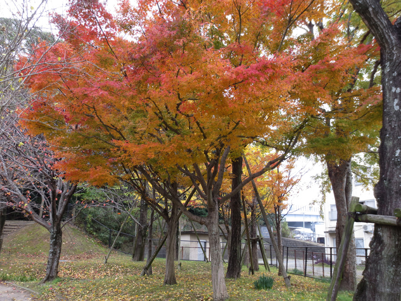 ■あれこれ取り混ぜて、「使いみちのない風景」_d0190217_23274271.jpg