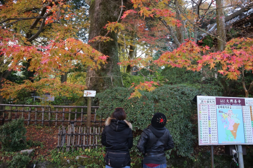 女子ツー❤️今年最後の回_a0110720_12274797.jpg