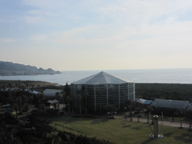 d0162225_16364505.jpg