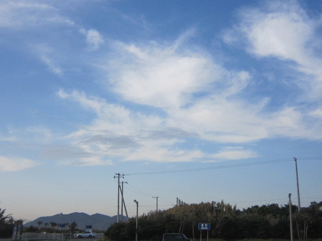 d0162225_16390102.jpg