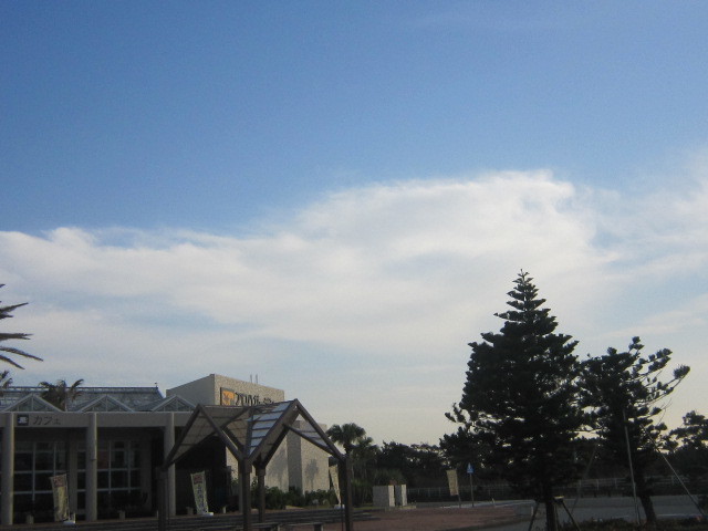 d0162225_16391738.jpg