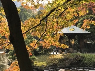 c0051529_00325812.jpg