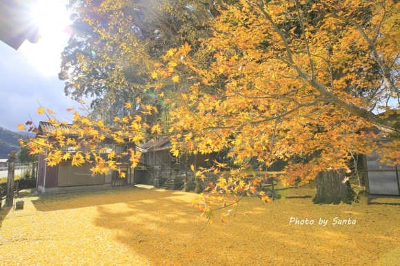 c0201929_17475356.jpg