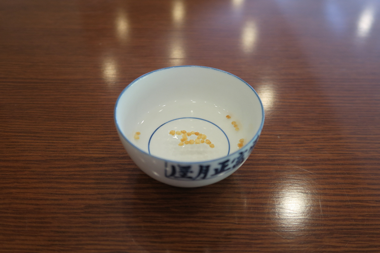 b0169330_9425375.jpg