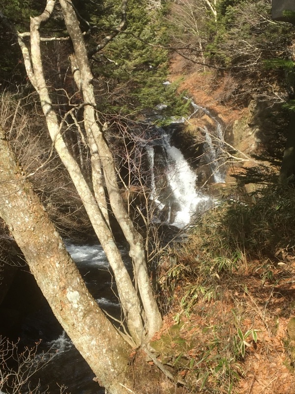 d0359930_23540455.jpeg