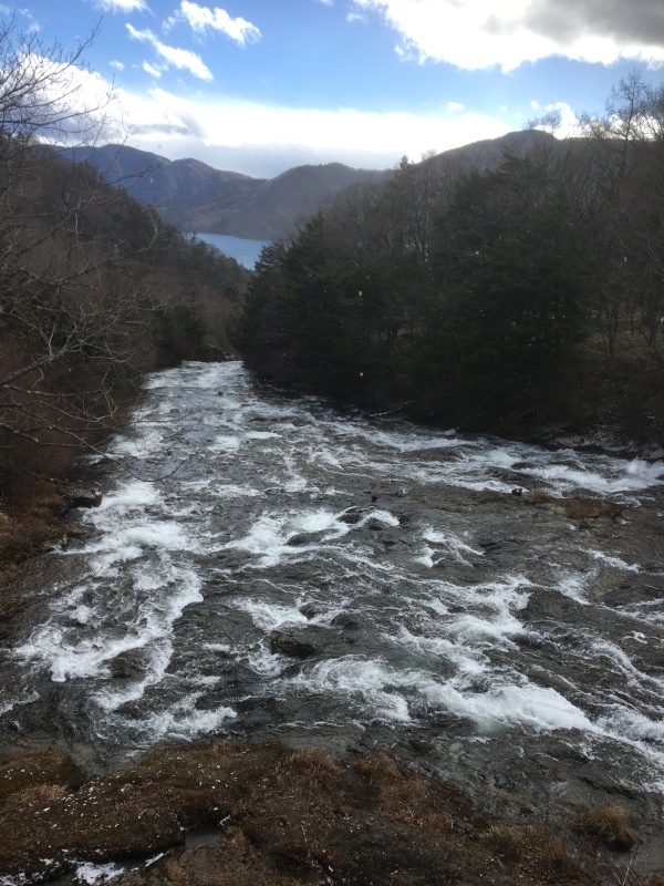 d0359930_23544279.jpeg