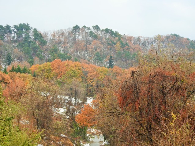 f0118332_23385486.jpg