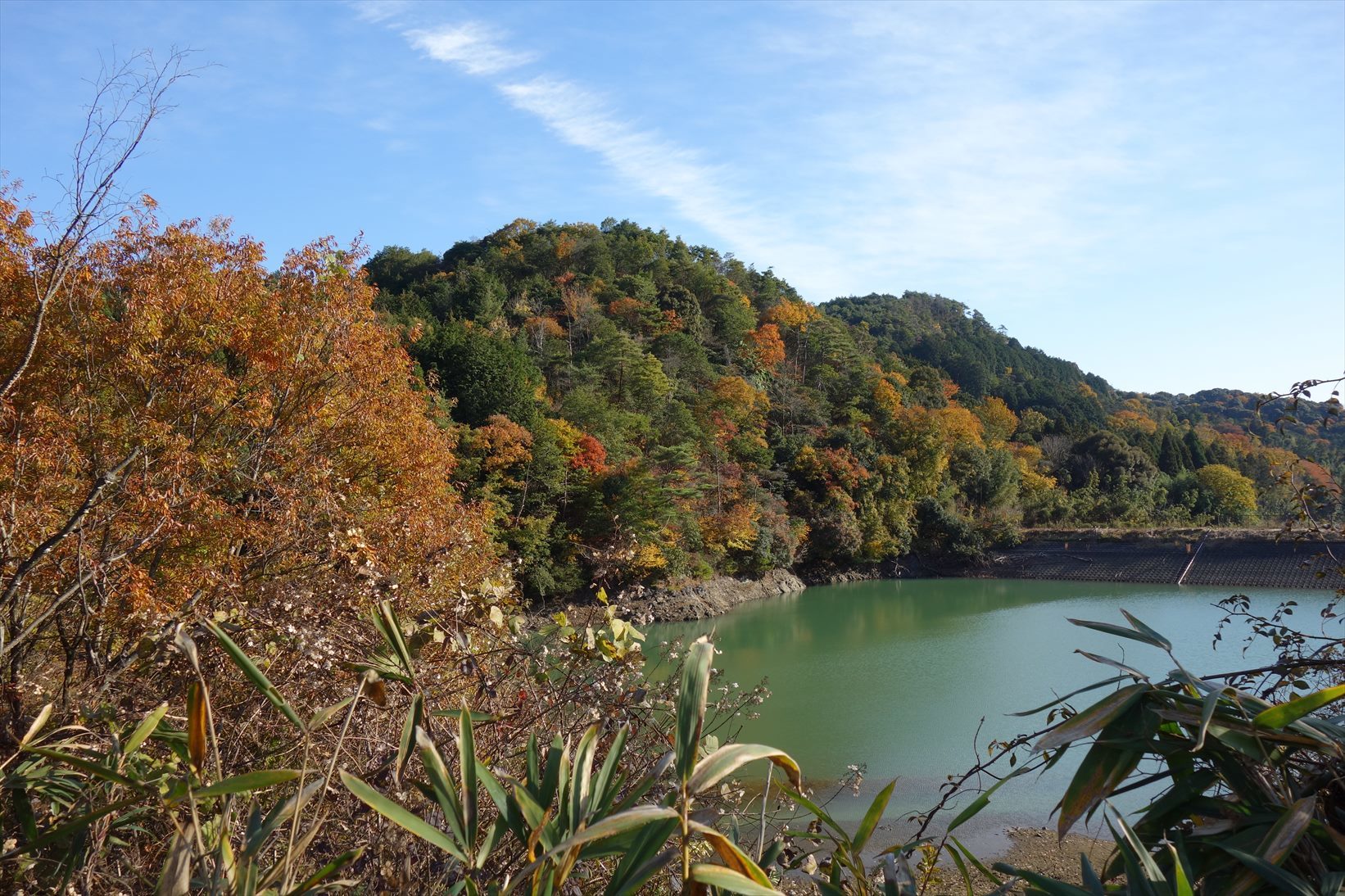 f0348933_11331276.jpg