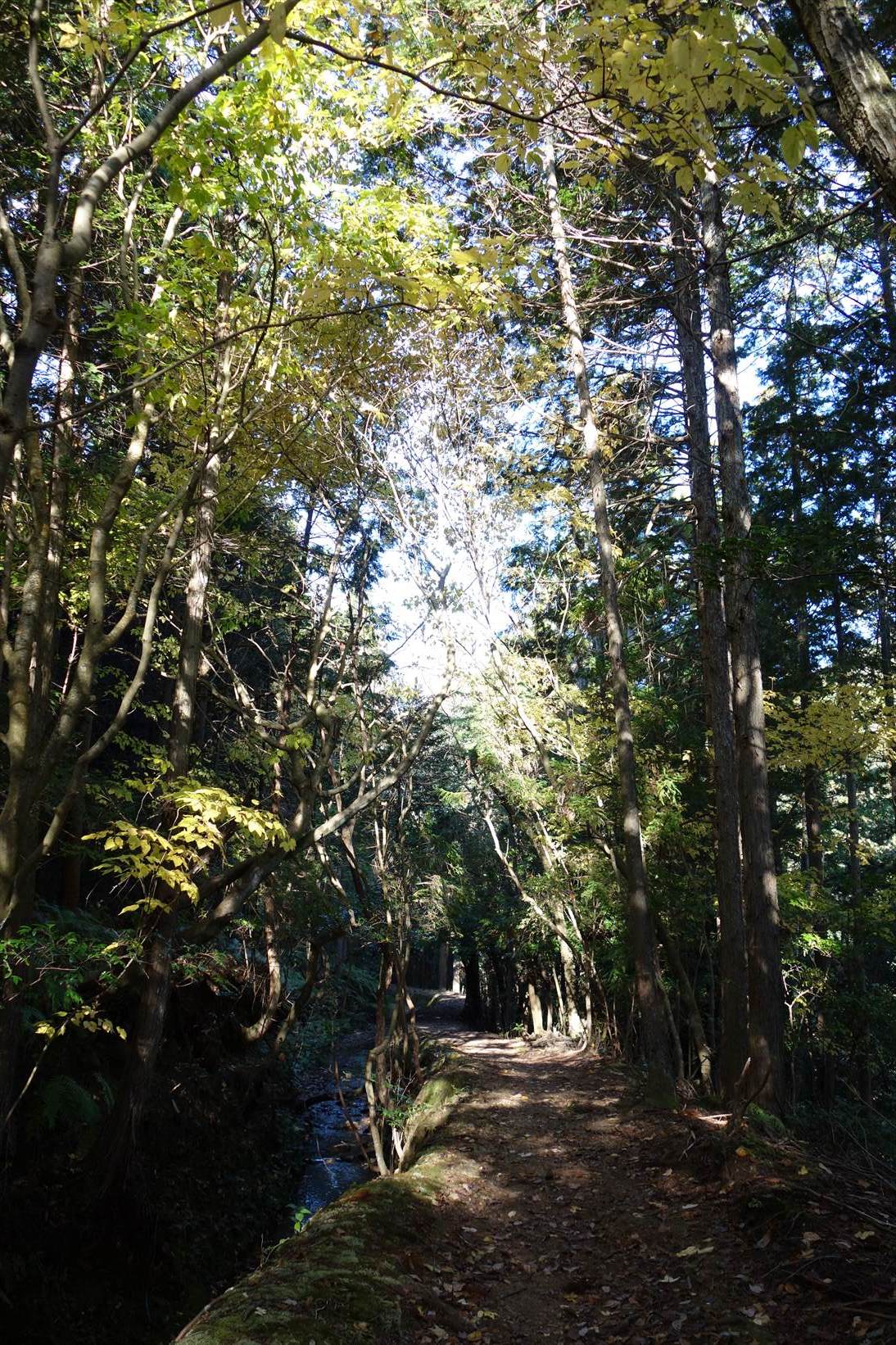 f0348933_11355308.jpg