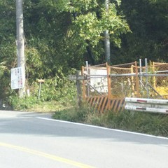 c0077338_09131301.jpg