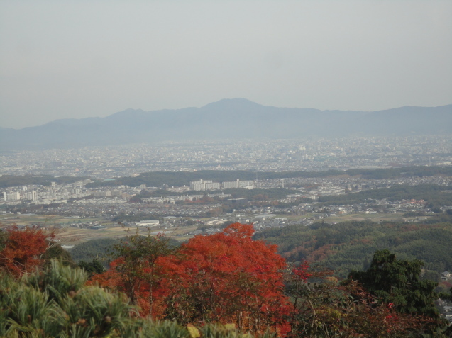 京都西山　善峯寺（よしみねでら）へ紅葉狩り_d0359338_22205213.jpg