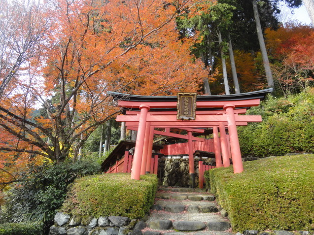 京都西山　善峯寺（よしみねでら）へ紅葉狩り_d0359338_22252062.jpg