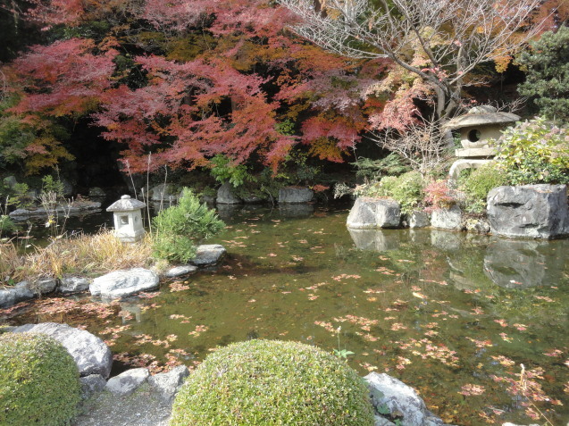 京都西山　善峯寺（よしみねでら）へ紅葉狩り_d0359338_22285817.jpg