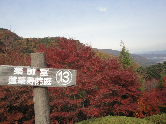 京都西山　善峯寺（よしみねでら）へ紅葉狩り_d0359338_22372077.jpg