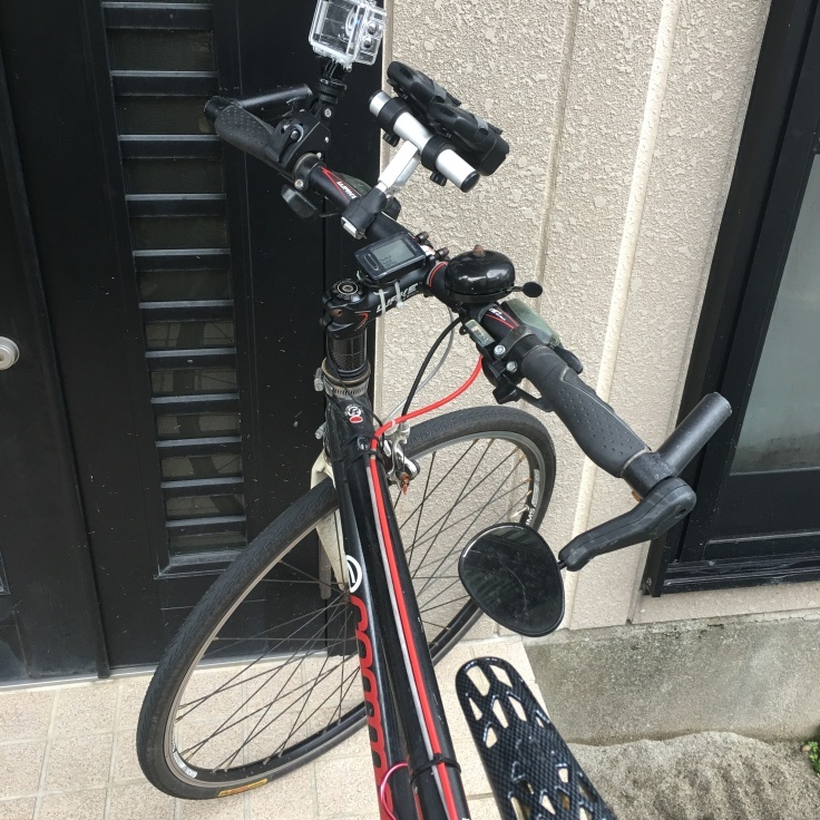 b0060239_17201883.jpeg
