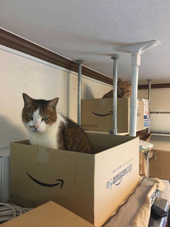 b0060239_18504969.jpeg