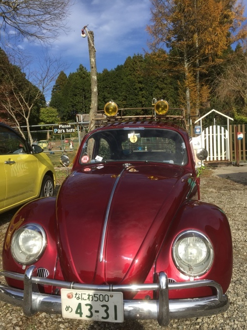 b0369239_17111063.jpeg