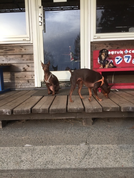 b0369239_17124202.jpeg