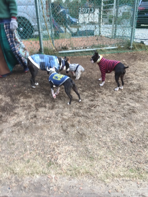 b0369239_17125741.jpeg