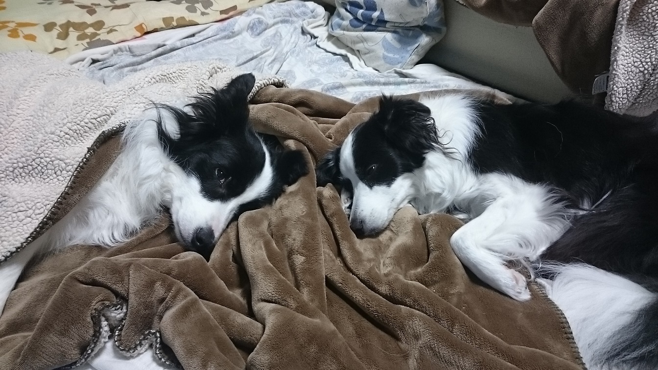 c0147241_04421330.jpg