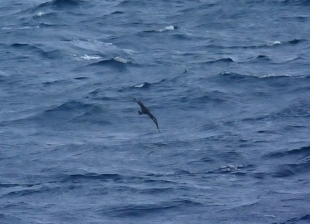 c0349842_15404941.jpg