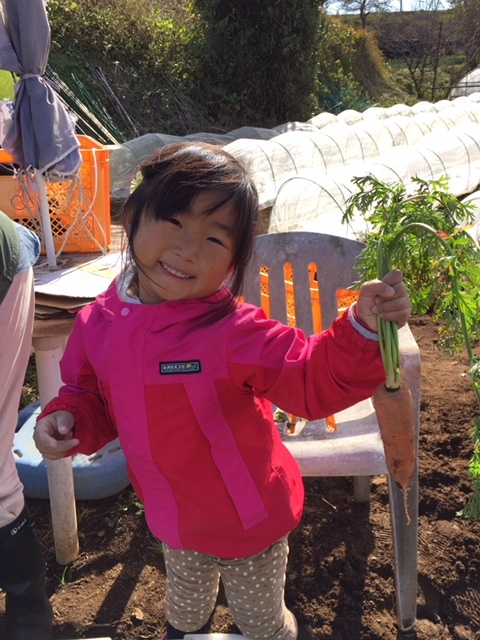 今朝の畑訪ね人　　　　野菜大好き　自然大好き・・乗り物も好き_c0222448_15425951.jpg